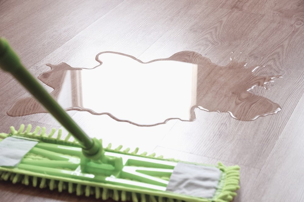 5 Things to Never Vacuum | Lake Worth Gardens Cleaning Services