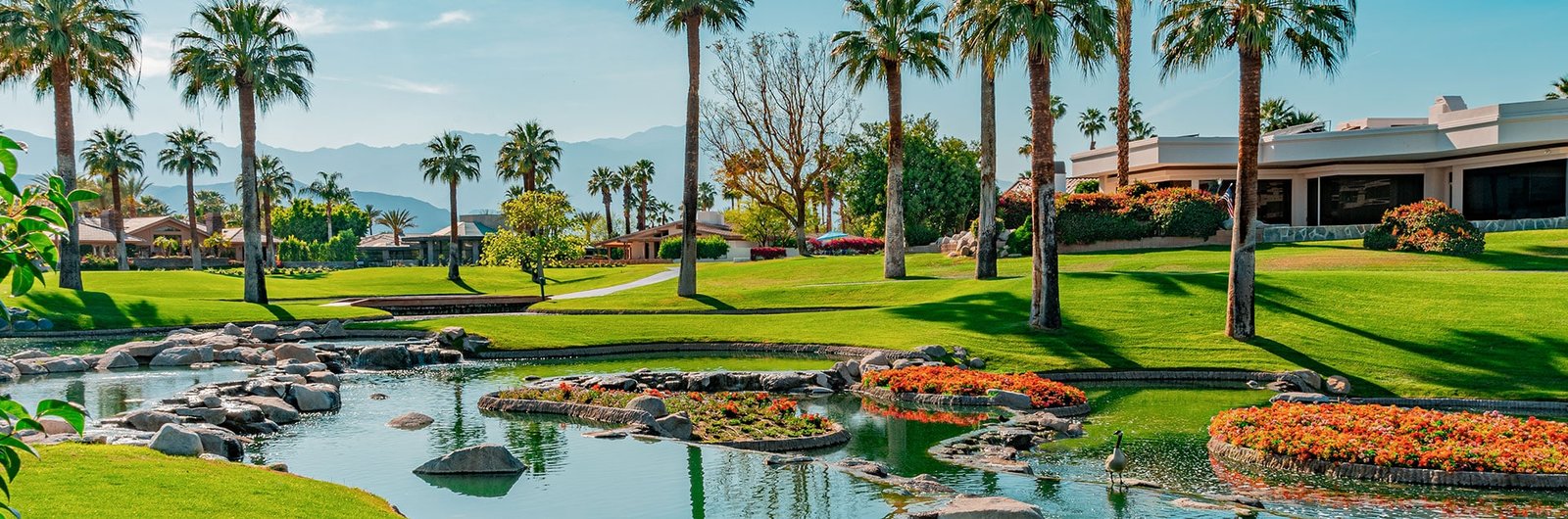 House Cleaning & Maids – Palm Springs background