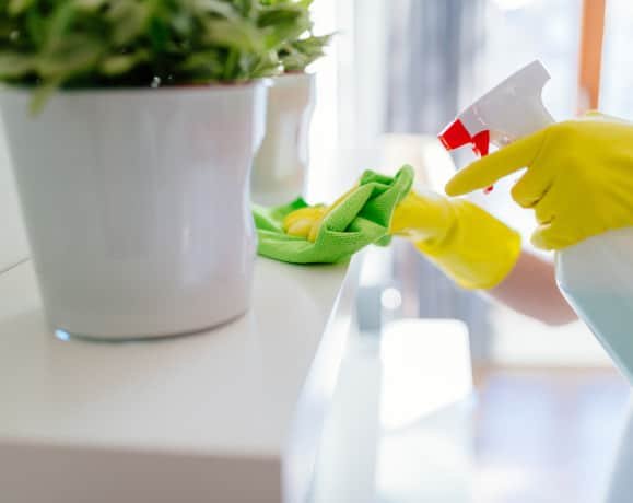 House Cleaning