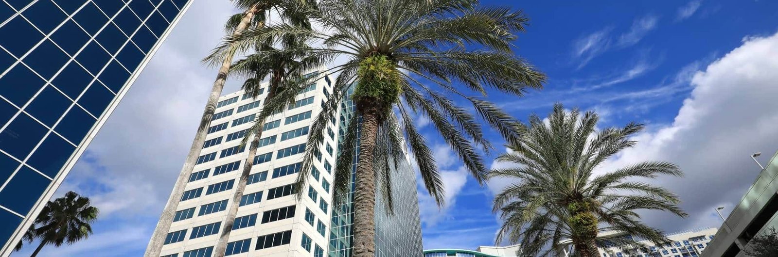 In-Depth House & Apartment Cleaning Services Near Me in Cloud Lake, FL background