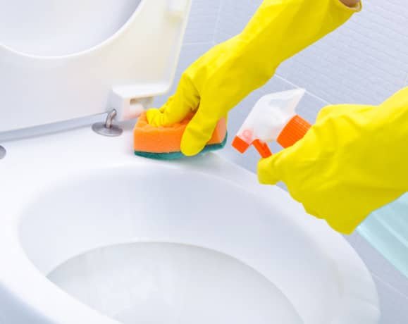 House Cleaning