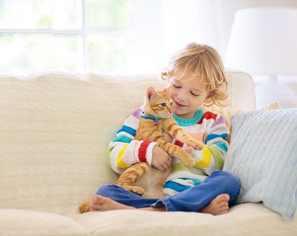 sunrise-fl-apartment-house-cleaning-services