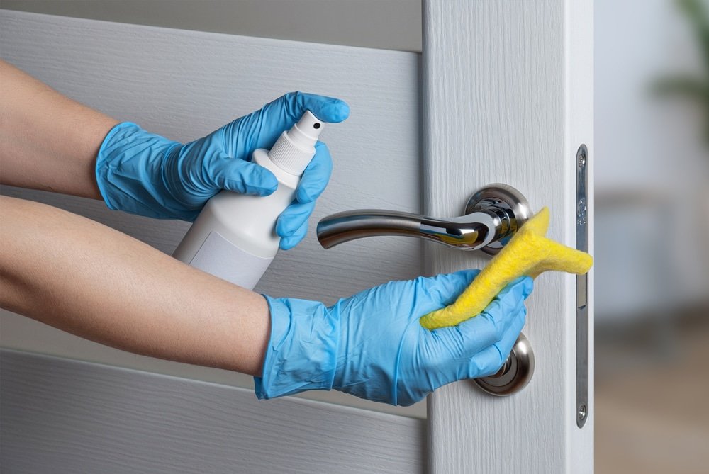How do I find professional house cleaning services in Lantana and the surrounding area?