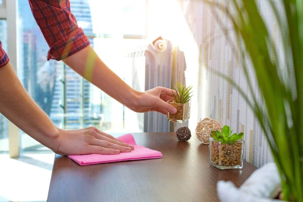 How-to-Dust-Your-Home-Like-a-Pro
