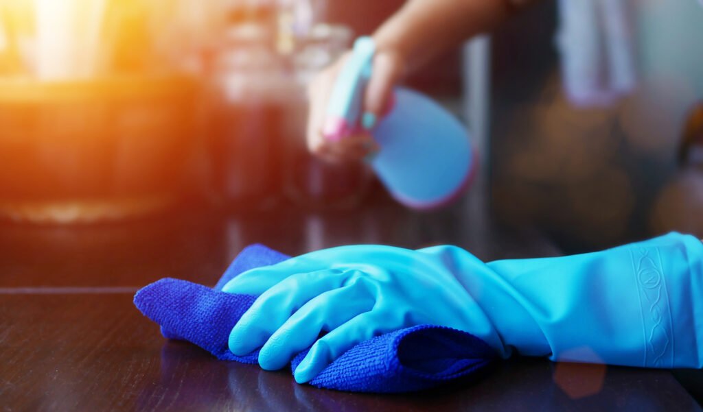 House Cleaning and Hygiene