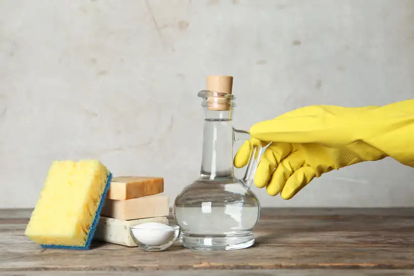 Cleaning with Vinegar: A Complete Guide for Florida Homes